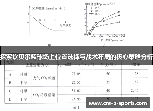 探索坎贝尔篮球场上位置选择与战术布局的核心策略分析