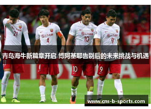 青岛海牛新篇章开启 博阿基耶告别后的未来挑战与机遇