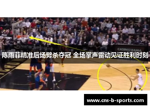 陈雨菲精准后场劈杀夺冠 全场掌声雷动见证胜利时刻 陈雨菲精准后场劈杀夺冠 全场掌声雷动见证胜利时刻