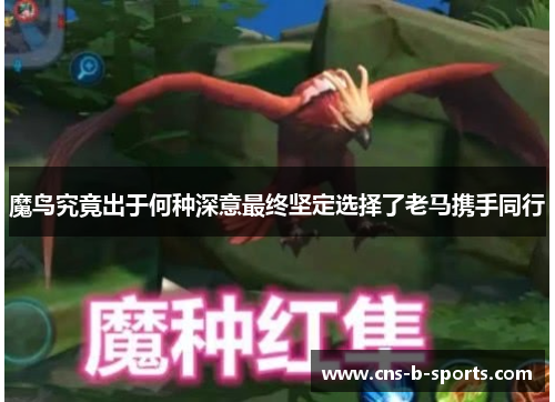 魔鸟究竟出于何种深意最终坚定选择了老马携手同行